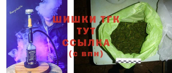 дмт Вяземский