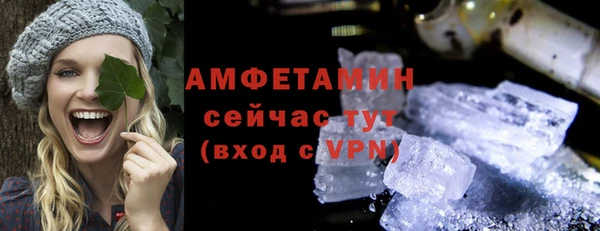 ПСИЛОЦИБИНОВЫЕ ГРИБЫ Горно-Алтайск
