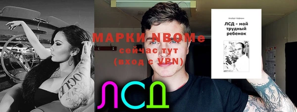 ПСИЛОЦИБИНОВЫЕ ГРИБЫ Горно-Алтайск