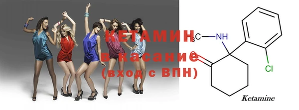 ПСИЛОЦИБИНОВЫЕ ГРИБЫ Горно-Алтайск