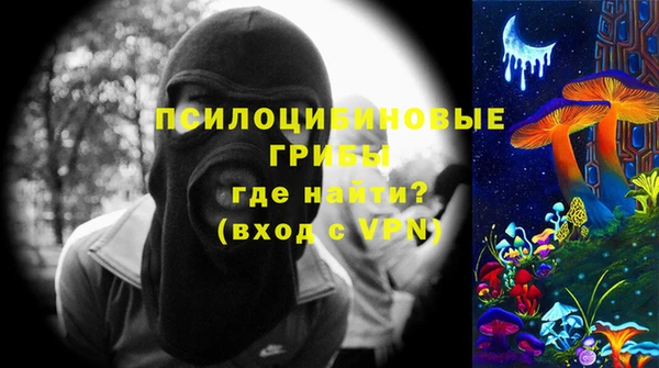 ПСИЛОЦИБИНОВЫЕ ГРИБЫ Горно-Алтайск