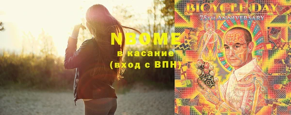ПСИЛОЦИБИНОВЫЕ ГРИБЫ Горно-Алтайск