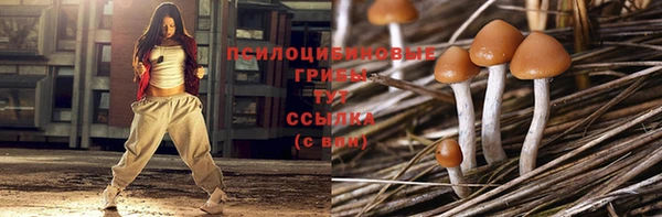 тгк Горняк