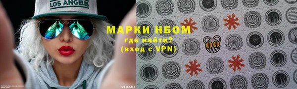 дмт Вяземский