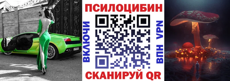 Псилоцибиновые грибы Psilocybine cubensis дарнет шоп Иланский